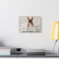 Load image into Gallery viewer, Charlie Bear Bubble Bath Art | Official Charlie Bear Collection Canvas