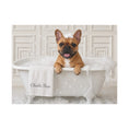 Load image into Gallery viewer, Charlie Bear Bubble Bath Art | Official Charlie Bear Collection Canvas