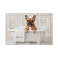Load image into Gallery viewer, Charlie Bear Bubble Bath Art | Official Charlie Bear Collection Canvas