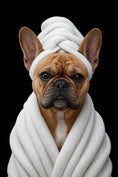Load image into Gallery viewer, Charlie Bear the French Bulldog in a spa robe and towel - flat view of the Charlie Bear Spa Day portrait canvas.