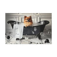 Load image into Gallery viewer, Custom Dog ArtPomeranian Bubble Bath Art | Personalized Dog Decor