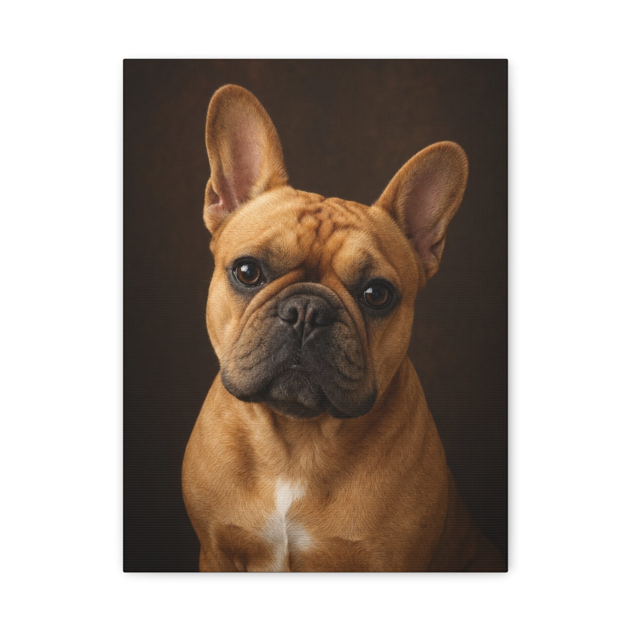 Charlie Bear Classic Portrait | Official Charlie Bear Collection Canvas