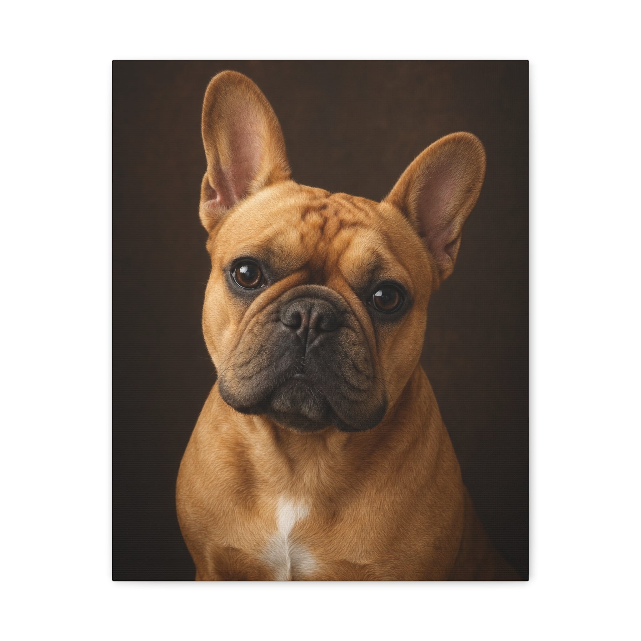 Charlie Bear Classic Portrait | Official Charlie Bear Collection Canvas