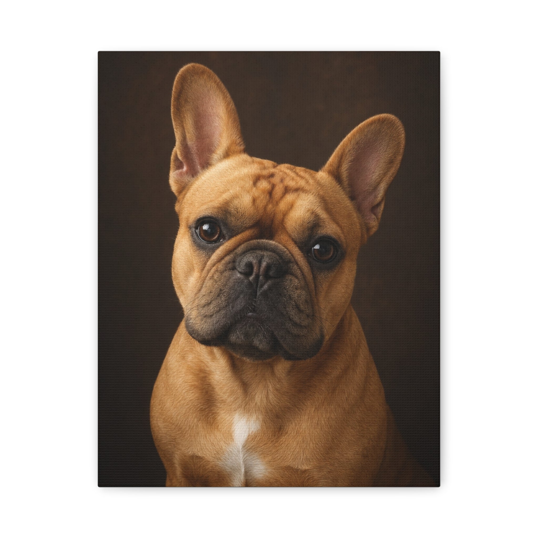 Charlie Bear Classic Portrait | Official Charlie Bear Collection Canvas