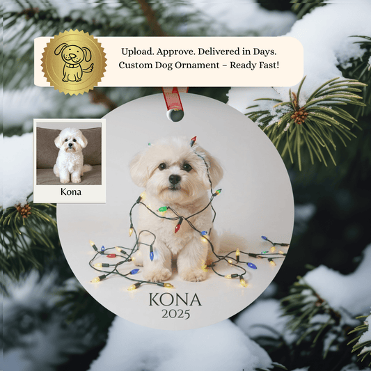 Custom Dog ArtBichon Frise Christmas Ornament | Personalized