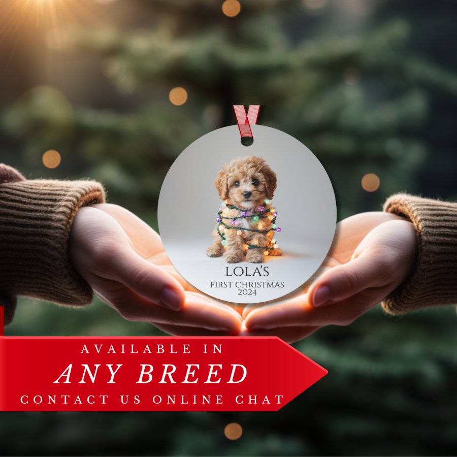 Custom Dog ArtCavapoo Puppy Christmas Ornament | Personalized