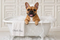 Load image into Gallery viewer, Charlie Bear the French Bulldog in a bubble bath with her personalized towel - flat view of the Charlie Bear Bubble Bath canvas art.
