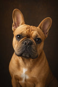 Load image into Gallery viewer, Charlie Bear the French Bulldog on a warm espresso backdrop - flat view of the Charlie Bear Classic Portrait canvas.
