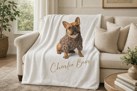 Charlie Bear plush blanket draped over a sofa.