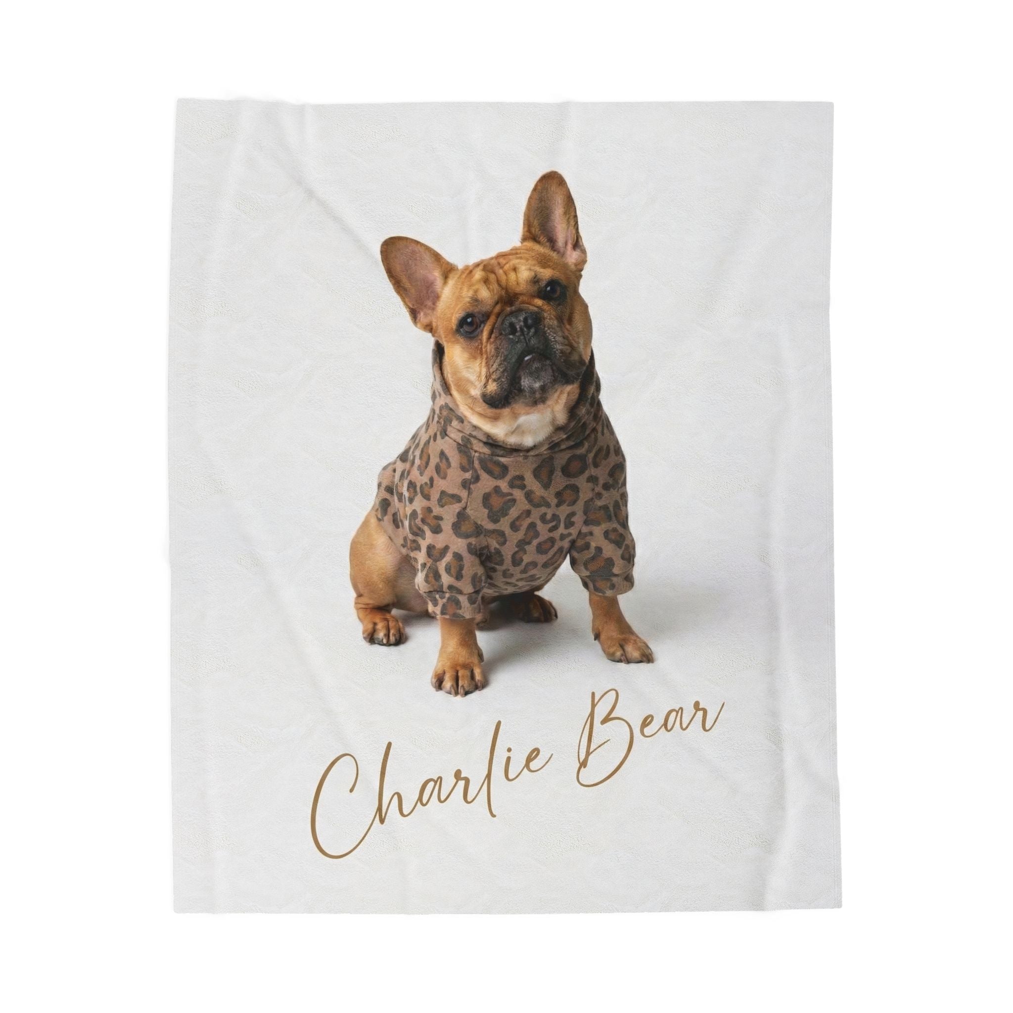 Charlie Bear the French Bulldog in her leopard hoodie with her name in gold script - the official Charlie Bear plush blanket.
