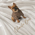 Load image into Gallery viewer, Close-up of the ultra-soft velveteen texture on the Charlie Bear plush blanket.
