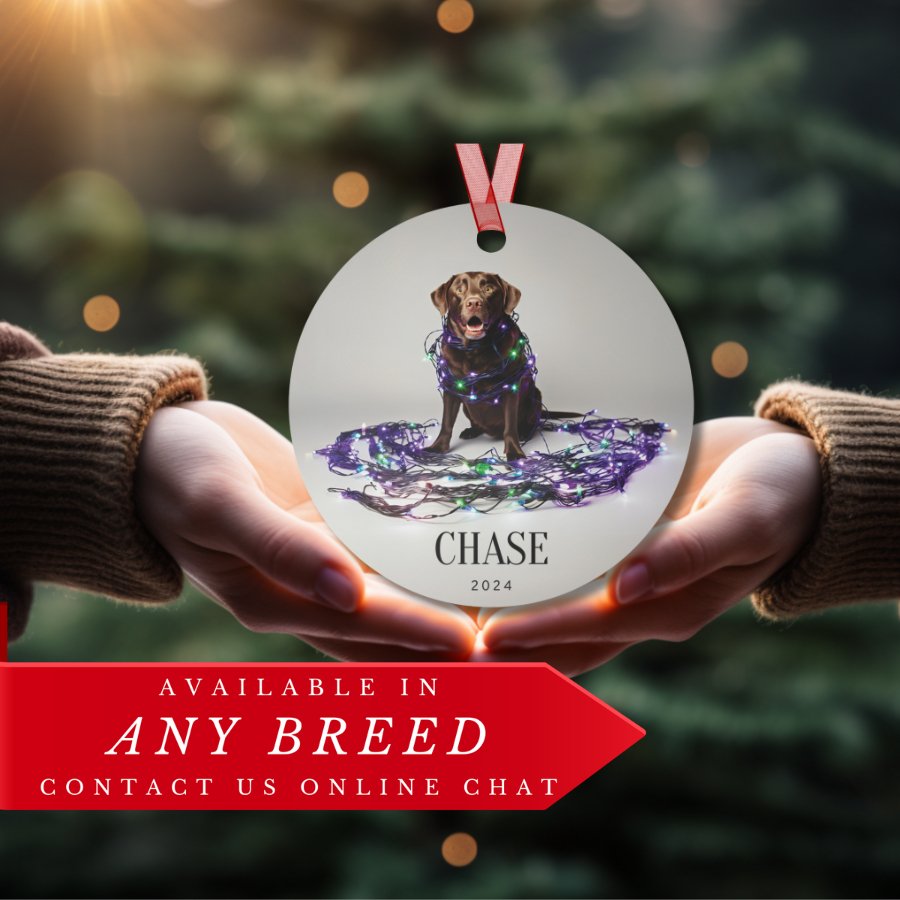 Custom Dog ArtChocolate Lab Christmas Ornament | Personalized