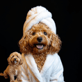 Load image into Gallery viewer, Custom Dog ArtCustom Pet Portrait with Digital Download
