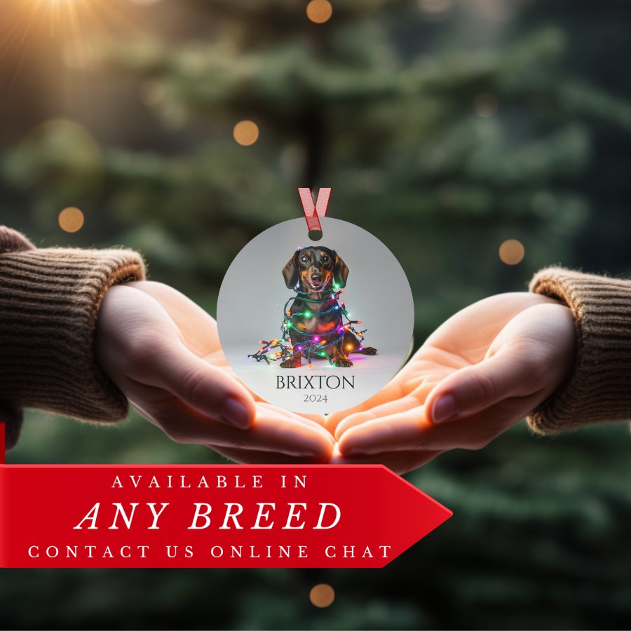 Custom Dog ArtDaschund Christmas Ornament | Personalized