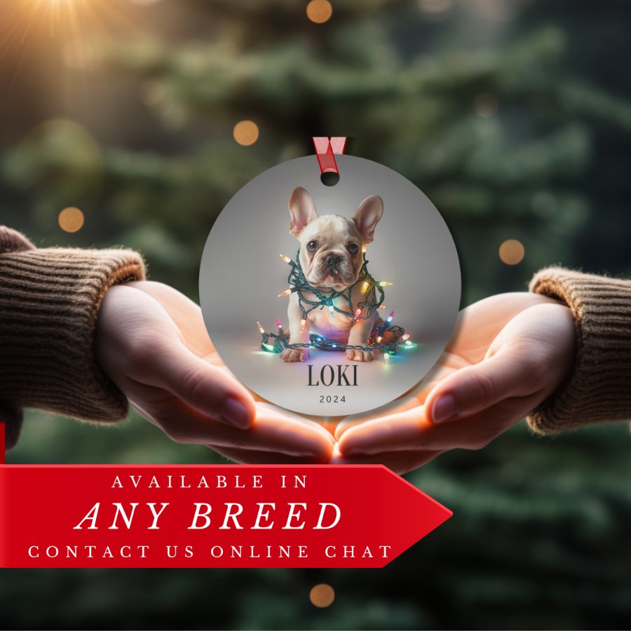 Custom Dog ArtFrench Bulldog Christmas Ornament | Personalized