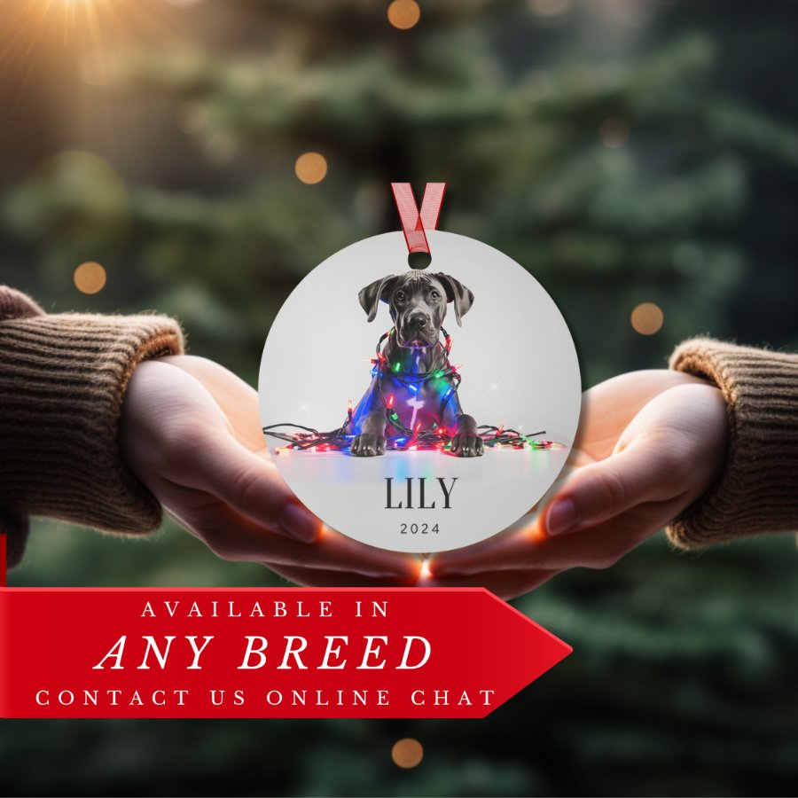 Custom Dog ArtGreat Dane Puppy Ornament | Personalized