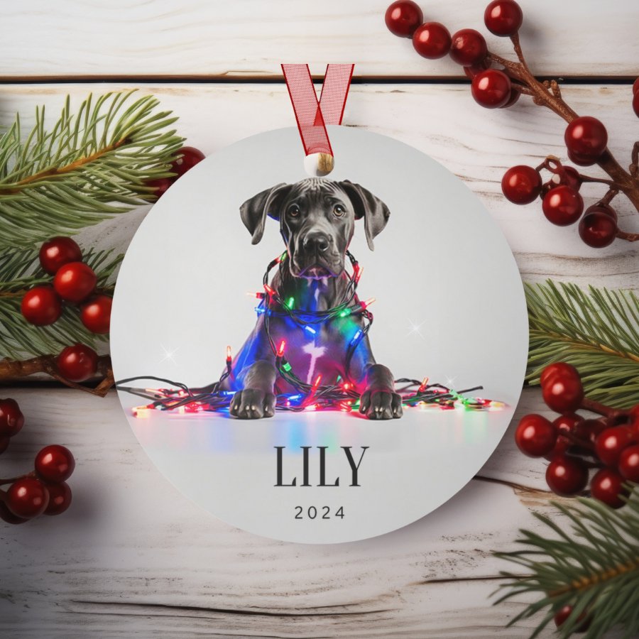 Custom Dog ArtGreat Dane Puppy Ornament | Personalized