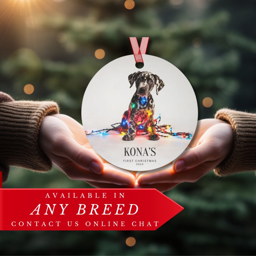 Custom Dog ArtHarlequin Great Dane Puppy Ornament | Personalized