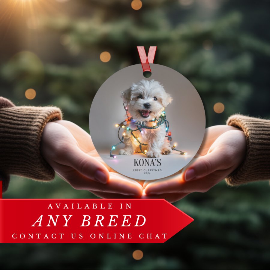 Custom Dog ArtMaltese Puppy Christmas Ornament | Personalized