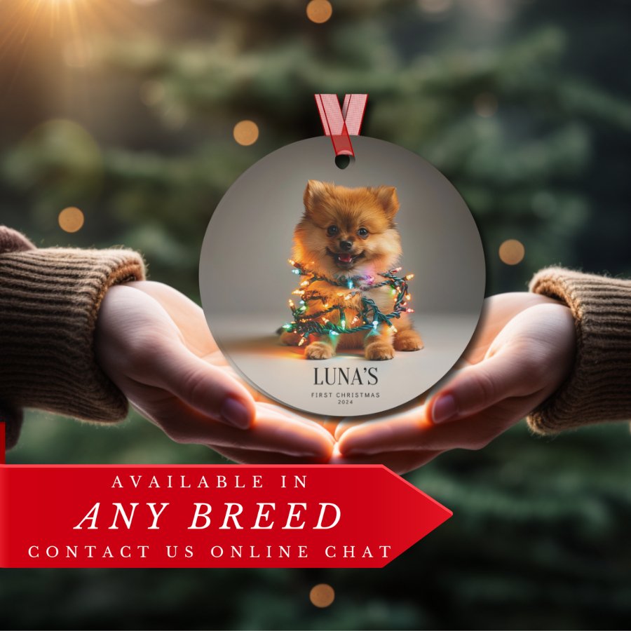 Custom Dog ArtPomeranian Puppy Christmas Ornament | Personalized